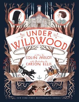 Under Wildwood (Wildwood Chronicles Book 2)  - Paperback