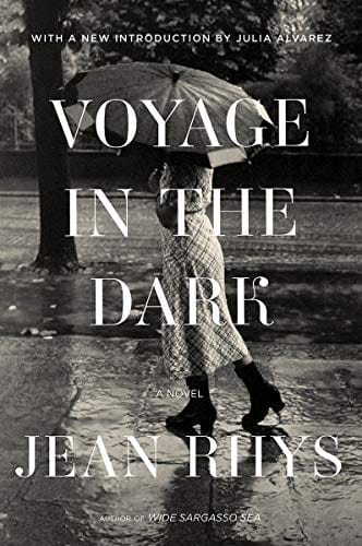 Voyage in the Dark: A Novel  - Paperback