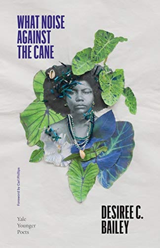 What Noise Against the Cane (Volume 115) (Yale Series of Younger Poets)  - Paperback