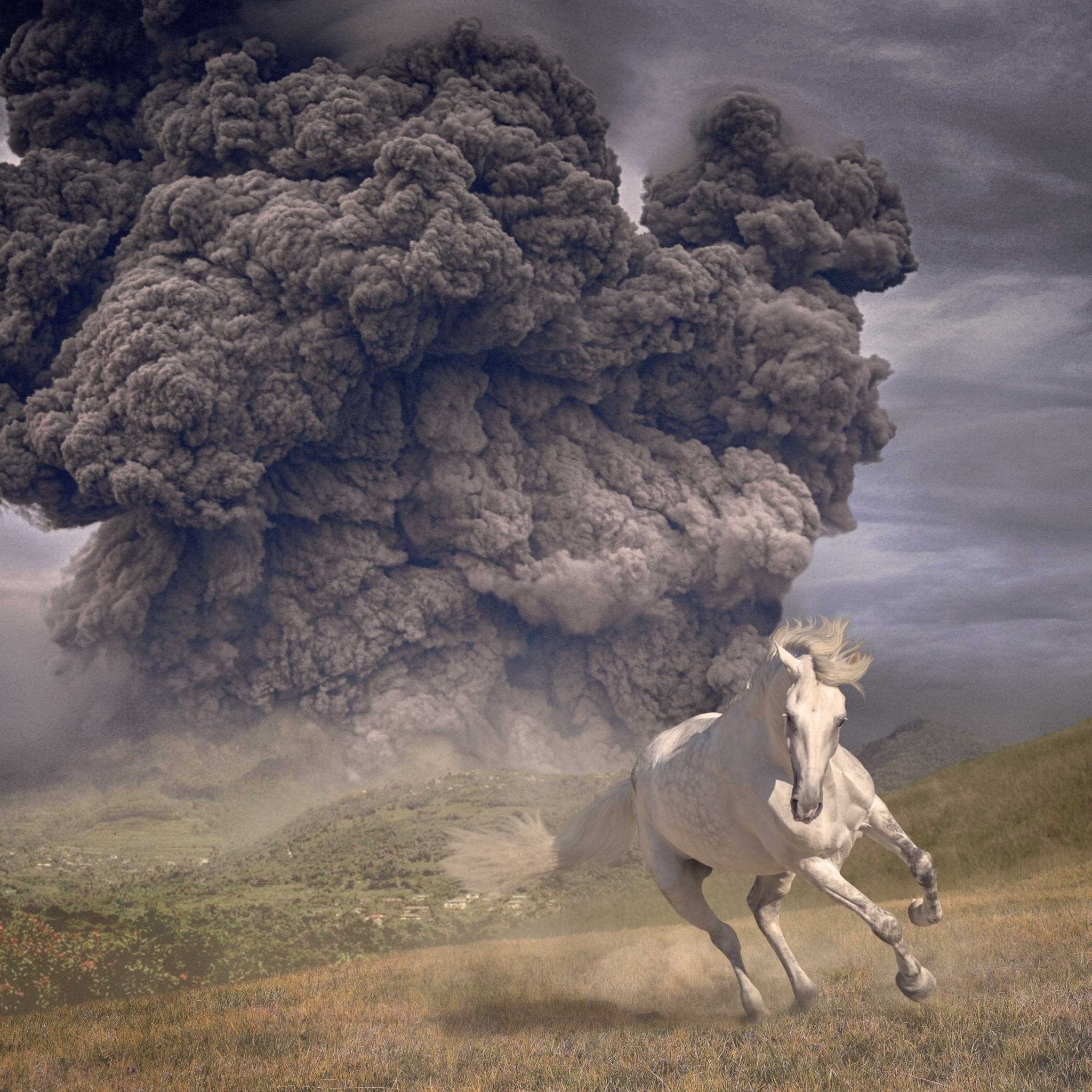 White Buffalo - Year Of The Dark Horse LP NEW Colored Vinyl